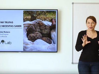 Todo lo que necesitas saber para cultivar trufas