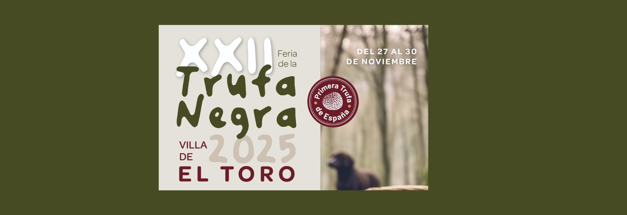 Feria de la trufa de toro FATCLM,,