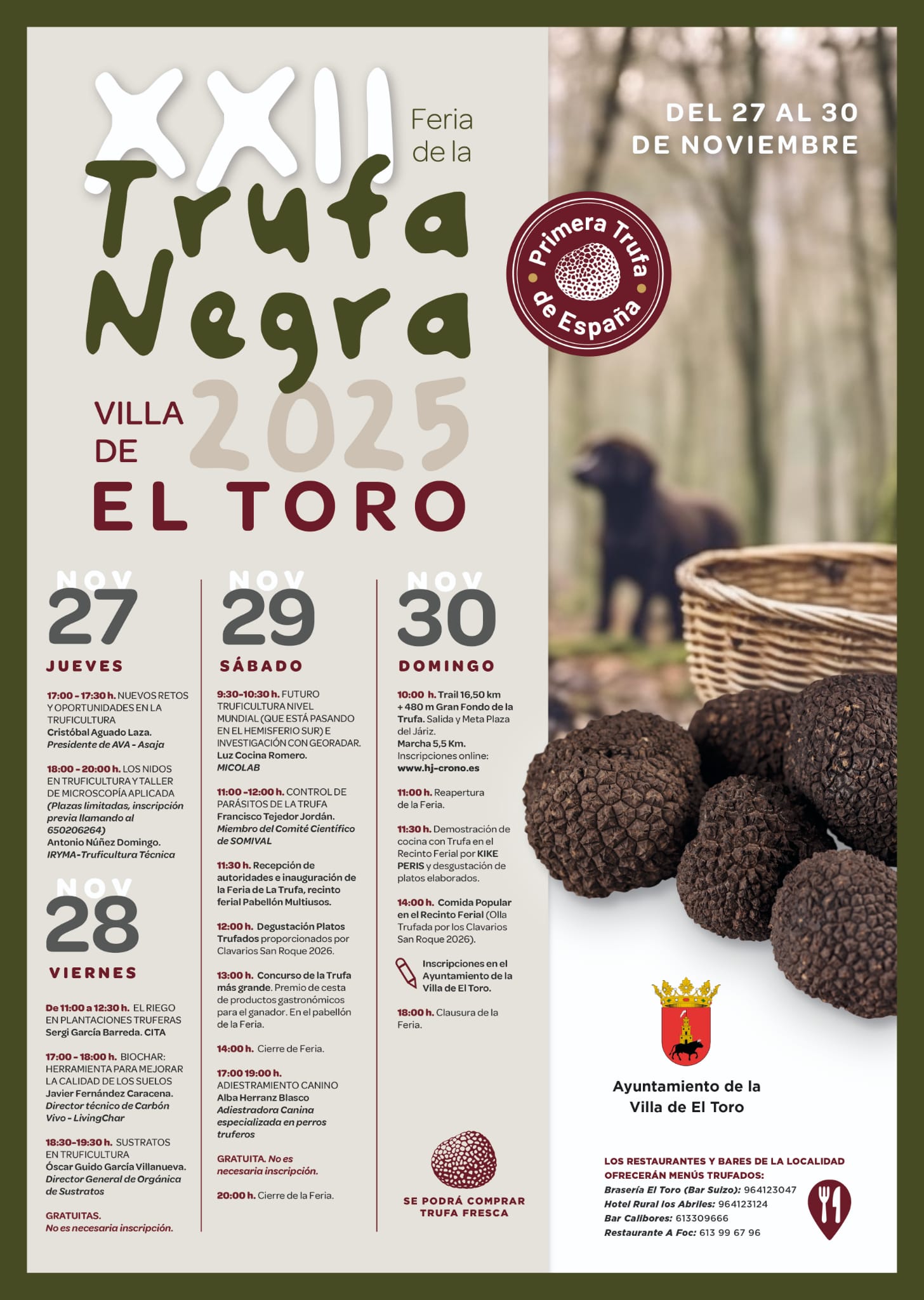 Feria de la trufa negra de toro