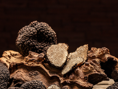 Jornadas de formación