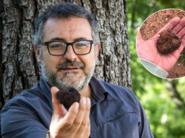 Entrevista a nuestro vicepresidente J. Manuel Vidal en El Español