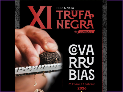 XI Feria de la Trufa Negra de Burgos en Covarrubias