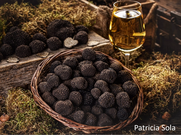 La trufa no muerde (pero la ignorancia sí)